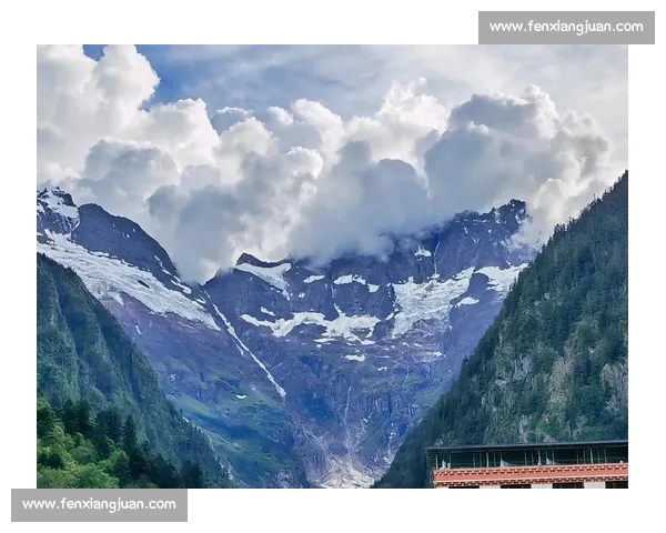 藏海花中雪山秘境的千年诅咒与古老家族命运交织之谜