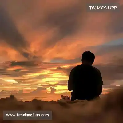 贺佩多